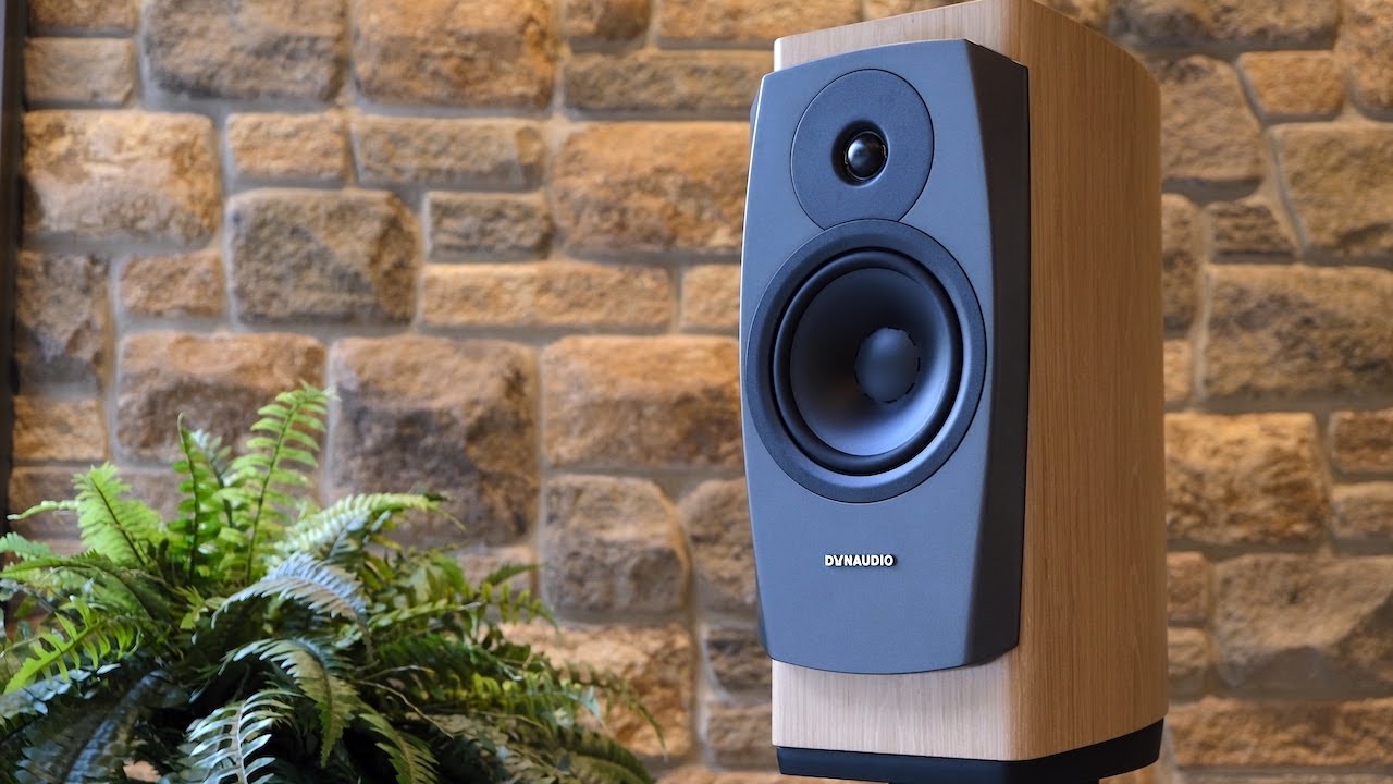 Ultimate Audiophile Endgame: Dynaudio Confidence 20 Review